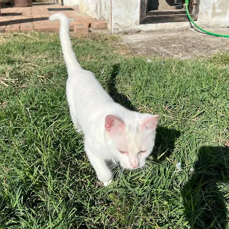 La Frasca فندق مبيت وإفطار Coltaro